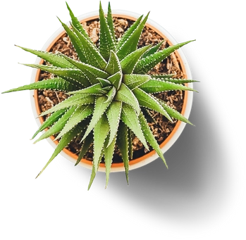 Imagem milhares de hotéis